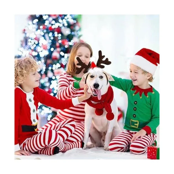 2 piezas de disfraz de Navidad para perro Papá Noel_7