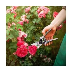 Altdorff Herramientas de jardinería para mujeres juego de_4