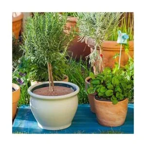 3 piezas de rejilla para macetas con recorte central_5