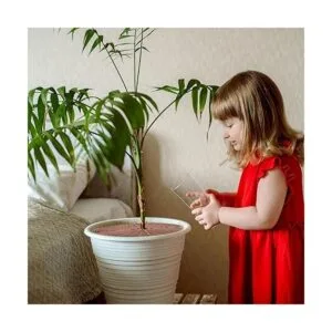 3 piezas de rejilla para macetas con recorte central_3