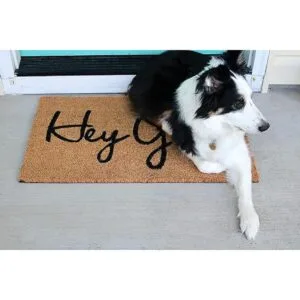 tag Hey Yall Felpudo de fibra de coco del sur de 17.5 x_5