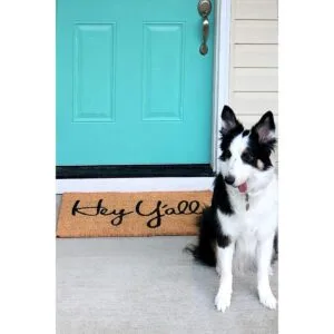 tag Hey Yall Felpudo de fibra de coco del sur de 17.5 x_4