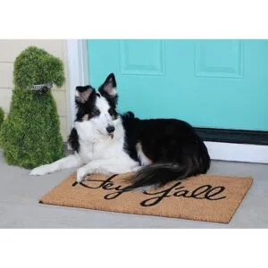 tag Hey Yall Felpudo de fibra de coco del sur de 17.5 x_7