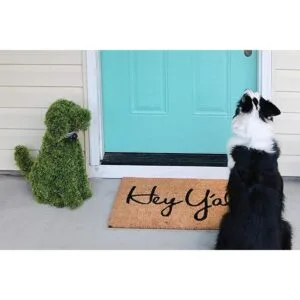 tag Hey Yall Felpudo de fibra de coco del sur de 17.5 x_6