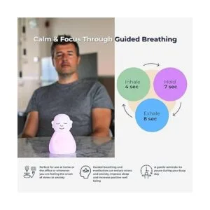 Mindsight Breathing Buddha para meditación visual_2