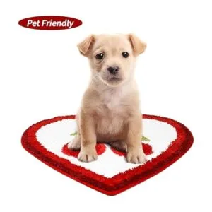 Tapete de baño de cerezo bonito tapete de baño con frutas_5