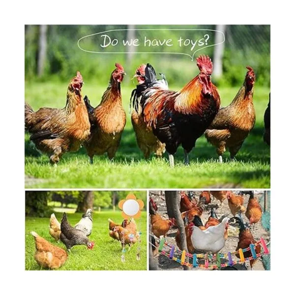 KAKUNM Juguetes de pollo para gallinero 7 piezas_6