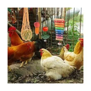 KAKUNM Juguetes de pollo para gallinero 7 piezas_5