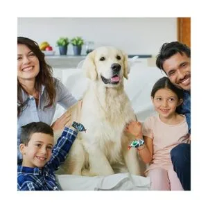 Chivao 16 pulseras de serpiente con broche de reptil_7