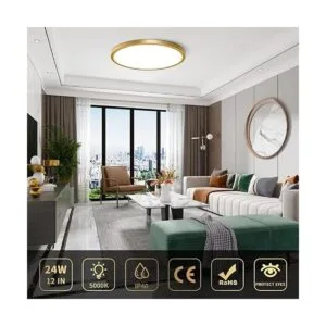 Lámpara de techo LED dorada de 12 pulgadas 24 W_2