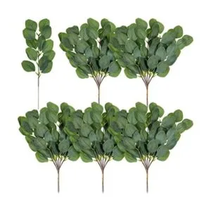 30 hojas de eucalipto artificiales largas ovaladas de_1
