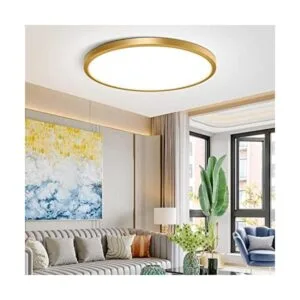 Lámpara de techo LED dorada de 12 pulgadas 24 W_1