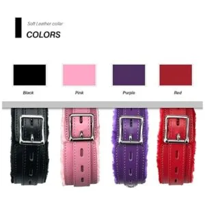 Collar de cuero para perro con correa forro de piel_6