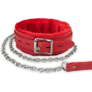 Collar de cuero para perro con correa forro de piel_1