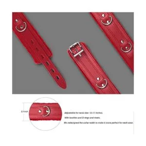 Collar de cuero para perro con correa forro de piel_5