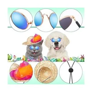 6 piezas de disfraz hawaiano para perros de Halloween_4