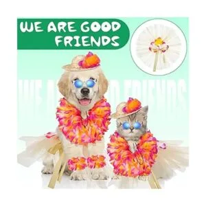 6 piezas de disfraz hawaiano para perros de Halloween_5