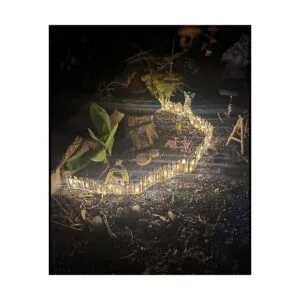 Robkea Mini valla de jardín de hadas de 36 pulgadas y LED_2