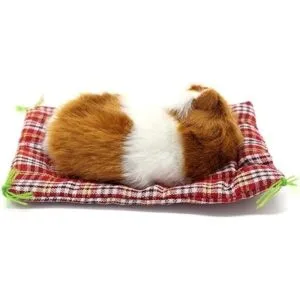 Coolayoung 2 piezas de juguete de muñeca para gato_7