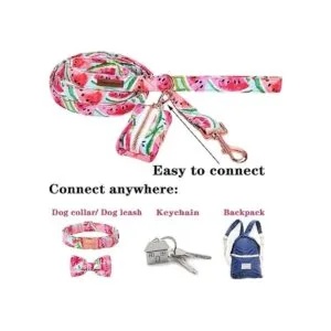 Unique style paws Collar de perro con lazo de flores_4