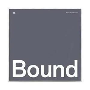 Boundless Audio Fundas de vinilo para discos 50 fundas_1