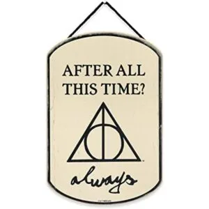 Open Road Brands Harry Potter After All This Time_1