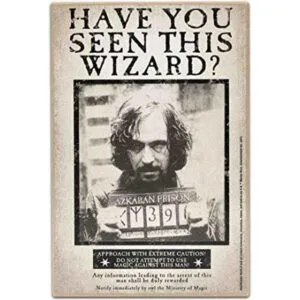 Open Road Brands Harry Potter Have You Seen This Wizard_1