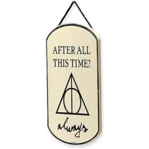 Open Road Brands Harry Potter After All This Time_2