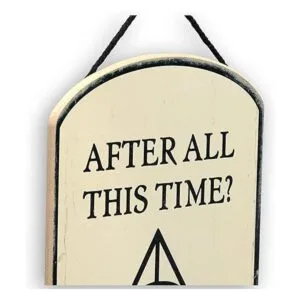 Open Road Brands Harry Potter After All This Time_4