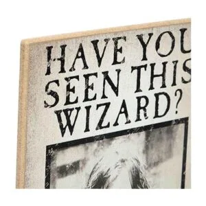 Open Road Brands Harry Potter Have You Seen This Wizard_4