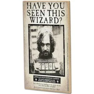 Open Road Brands Harry Potter Have You Seen This Wizard_2
