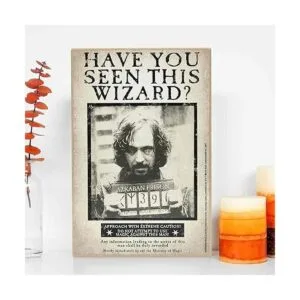 Open Road Brands Harry Potter Have You Seen This Wizard_5