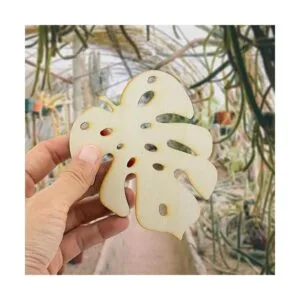 SummerRay 20 hojas de Monstera de madera corte láser_3