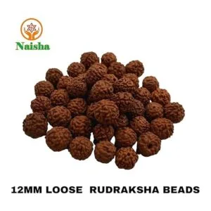 Naisha Rudraksh natural 165 cuentas sueltas RUDRAKSHA_5