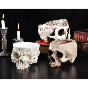 IBWell Moderno contenedor grande de 6 pulgadas con forma_6