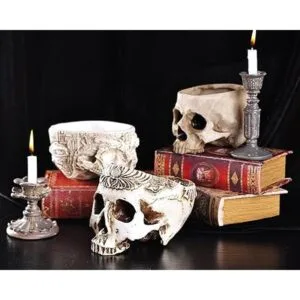 IBWell Moderno contenedor grande de 6 pulgadas con forma_7