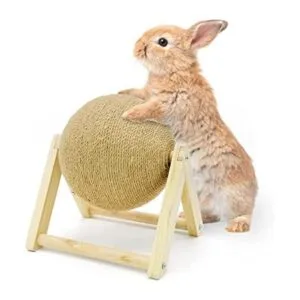 Fhiny Rabbit Scratch Toy Natural Solid Wood Sisal_1