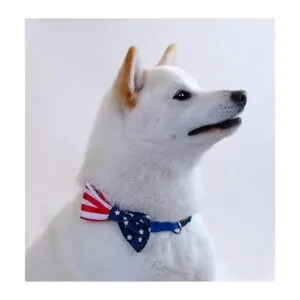 REVEDA Juego de pajaritas para perros y gatos desmontable_5