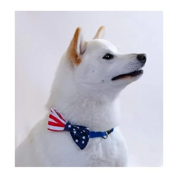 REVEDA Juego de pajaritas para perros y gatos desmontable_5