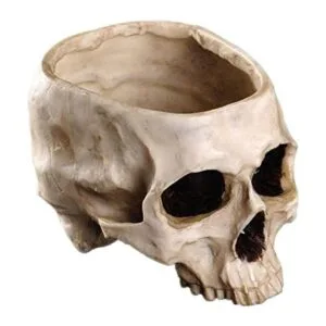 IBWell Moderno contenedor grande de 6 pulgadas con forma_1