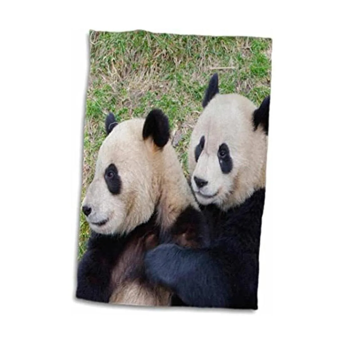 3D Rose ChinaWolong ReservaGiant Panda Bears AbrazarAs07_1