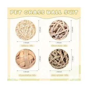 Paquete de 24 bolas de juego de animales pequeños_2