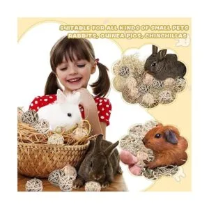 Paquete de 24 bolas de juego de animales pequeños_3