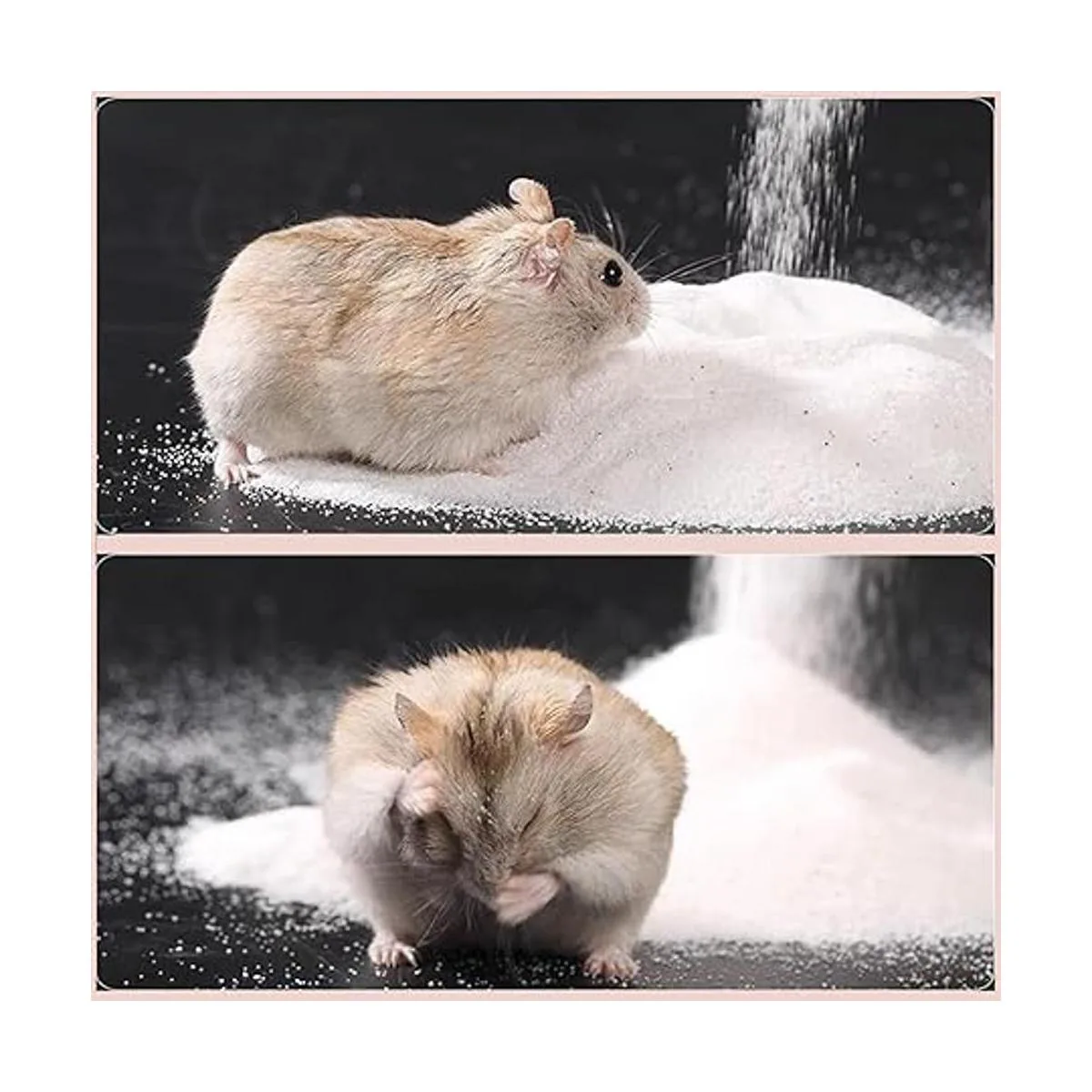 DR.DUDU Arena de baño para hámster 6.6 libras sin polvo_4