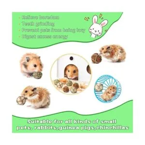 Paquete de 24 bolas de juego de animales pequeños_5