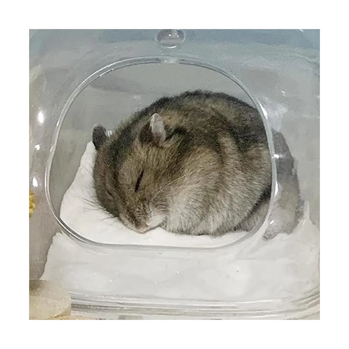 DR.DUDU Arena de baño para hámster 6.6 libras sin polvo_7