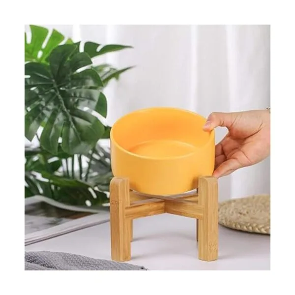 Cuenco elevado de cerámica para gatos con soporte de_4