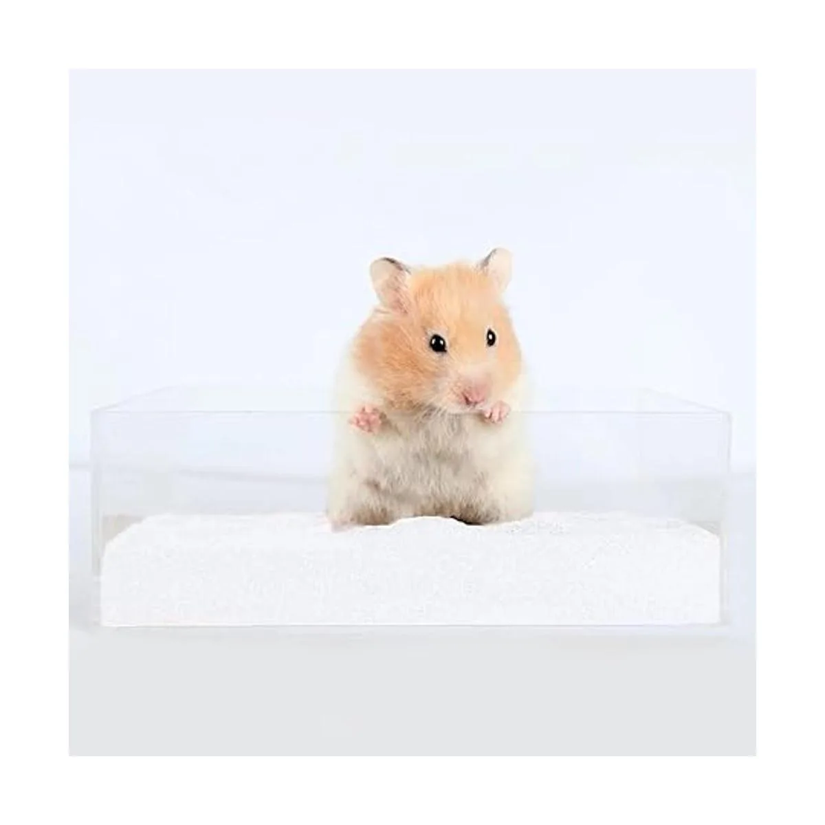 DR.DUDU Arena de baño para hámster 6.6 libras sin polvo_5