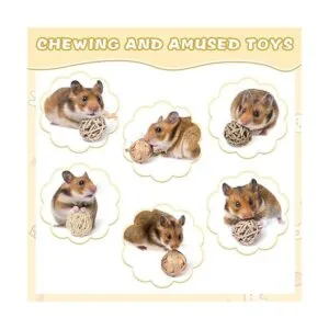 Paquete de 24 bolas de juego de animales pequeños_4