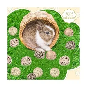 Paquete de 24 bolas de juego de animales pequeños_6